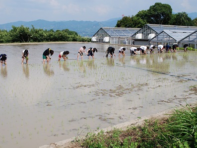 紀北農芸高等学校校内画像